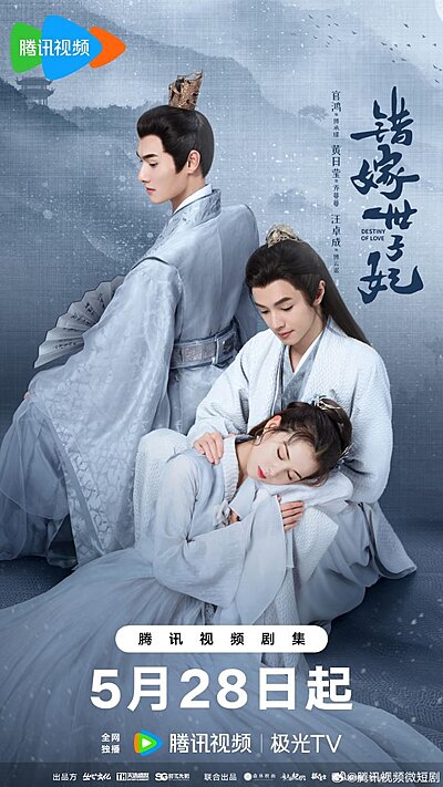 Cuo Jia Shi Zi Fei , Wrong Marriage , Princess Consort with a Wrong Marriage , 錯嫁世子妃