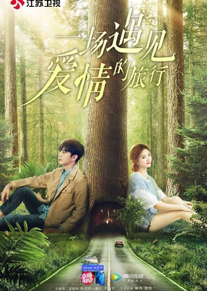 Finding Love on the Journey, Love Journey, Meeting Love on A Journey, 一场遇见爱情的旅行