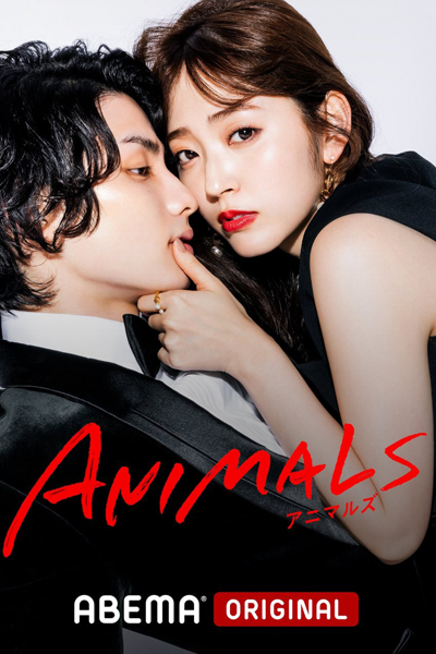 アニマルズ, Animaruzu