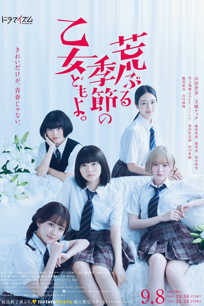 荒ぶる季節の乙女どもよ。, あらぶるきせつのおとめどもよ, 거친 계절의 소녀들이여, 荒蕪季節的少女們, O Maidens in Your Savage Season!!!, Draughty Seasonal Maidens