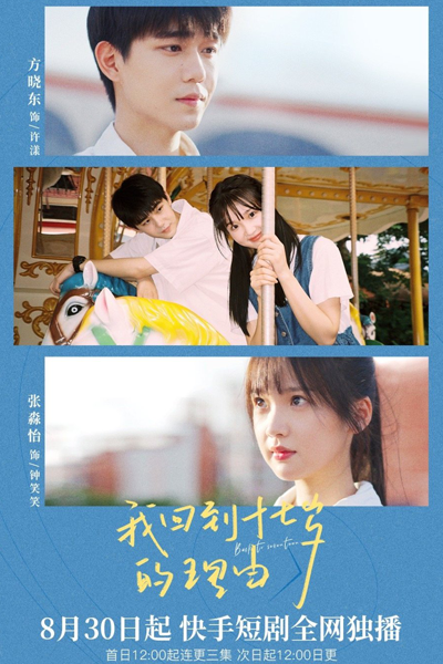 我回到十七岁的理由, 我回到十七歲的理由, Wo Hui Dao Shi Qi Sui De Li You, Seventeen