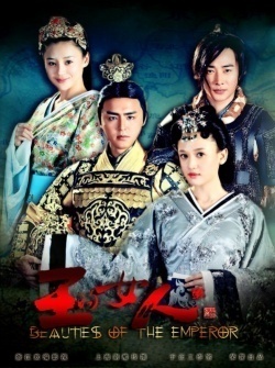 王的女人, Wang De Nu Ren