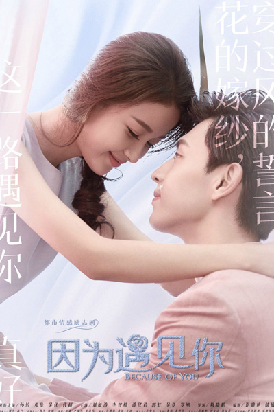 因为遇见:45分钟版, Yin Wei Yu Jian Ni, Because of You, 因为遇见你
