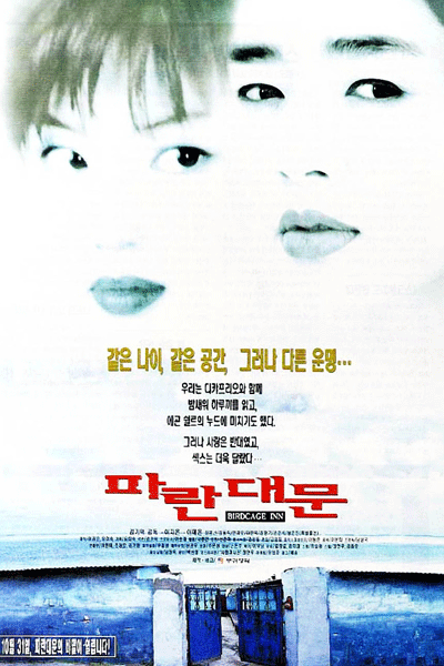 파란 대문, Paran Daemun