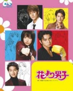 花より男子, Boys Before Flowers, Boys Over Flowers