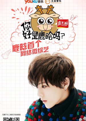 Ni Hao Shi Lu Han Ma, 你好 是鹿晗吗
