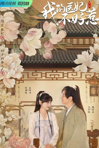 我的医妃不好惹, 神医毒妃不好惹, 我的醫妃不好惹, 神醫毒妃不好惹, Wo De Yi Fei Bu Hao Re, Shen Yi Du Fei Bu Hao Re