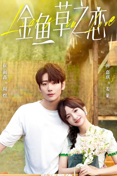 金鱼草之恋, 金魚草之戀, Jin Yu Cao Zhi Lian
