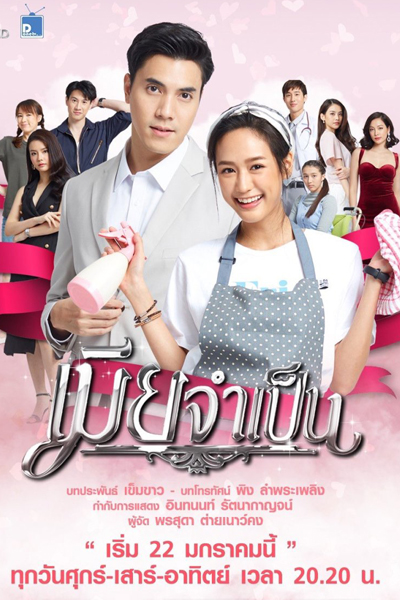 เมียจำเป็น, Mere Jum Pen, The Necessary Wife, Жена за деньги