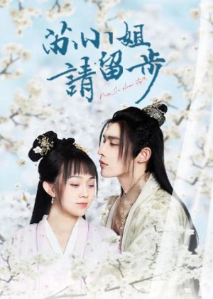 Su Xiao Jie Qing Liu Bu,, 苏小姐请留步