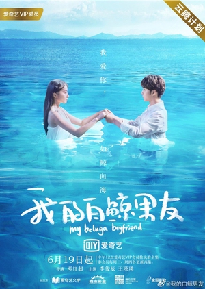 我的白鲸男朋友, Wo De Bai Jing Nan Pengyou, Wo De Bai Jing Nan You