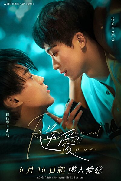 Reverse Love , Counter Attack , Falling in Love with a Rival , Ni Ai , Ni Xi , Ni Xi Zhi Ai Shang Qing Di , 逆袭 , 逆袭之爱上情敌 , 逆愛 , 逆襲 , 逆襲之愛上情敵