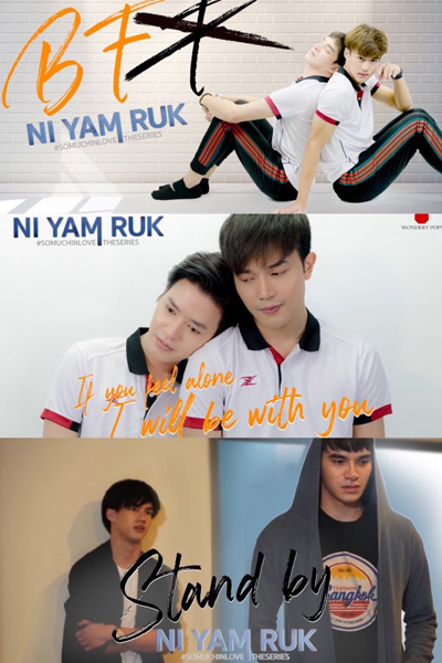 นิยามรัก, Ni Yam Ruk, Niyanruk: The Series, So Much In Love: The Series