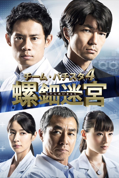 チーム・バチスタ4 螺鈿迷宮, Team Batista 4 Raden Labyrinth, Team Batista 4