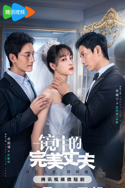 镜中的完美丈夫, 鏡中的完美丈夫, Jing Zhong De Wan Mei Zhang Fu