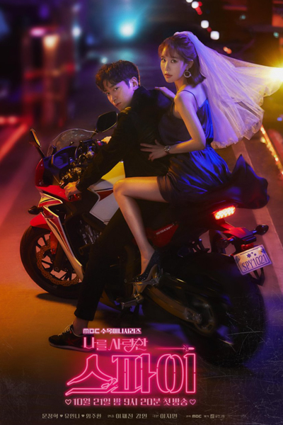 나를 사랑한 스파이, Naleul Saranghan Seupai, Nareul Saranghan Spy, The Spy Who Loves Me, The Spy Who Loved Me