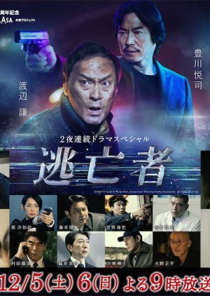 The Fugitive, 逃亡者