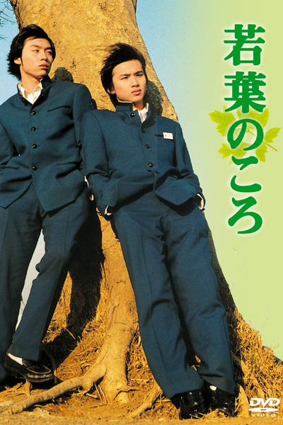 若葉のころ, Days of Youth, About the Young Generation
