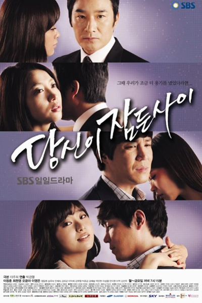 당신이 잠든 사이에, Dangshini Jamdeun Saie