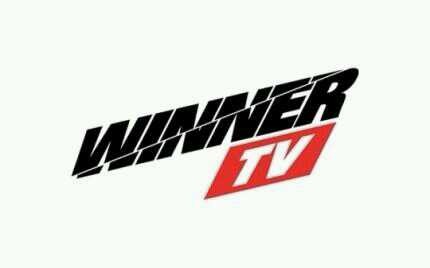 위너 티비