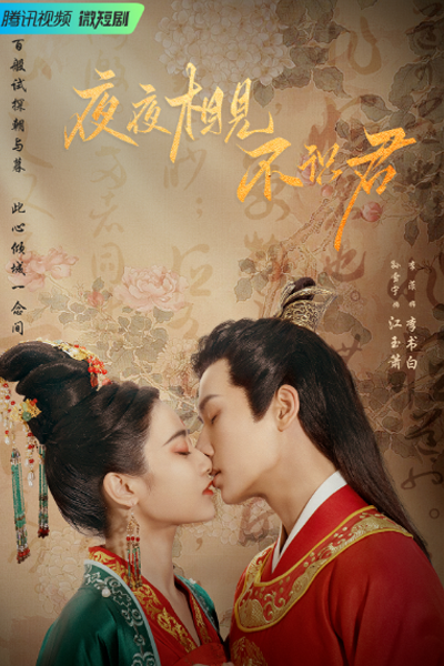 夜夜相见不识君, 夜夜相見不識君, Meeting You Every Night Without Knowing You, My Decoy Bride
